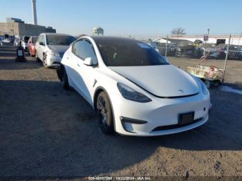  Salvage Tesla Model Y