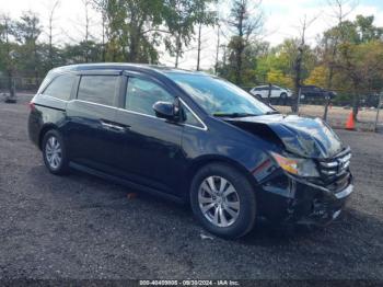  Salvage Honda Odyssey