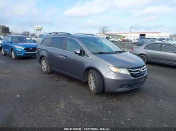  Salvage Honda Odyssey