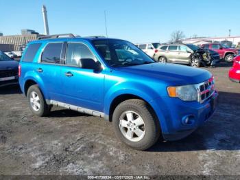  Salvage Ford Escape