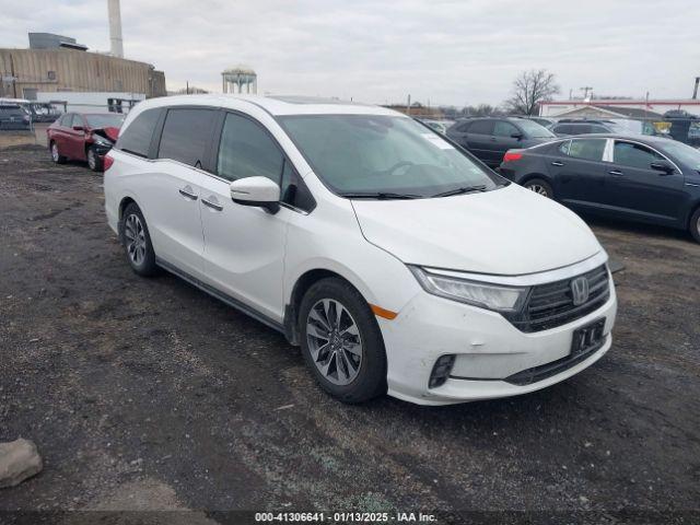  Salvage Honda Odyssey