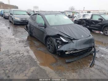  Salvage Tesla Model Y