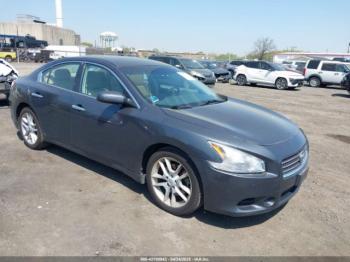  Salvage Nissan Maxima