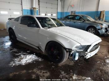  Salvage Ford Mustang