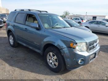  Salvage Ford Escape