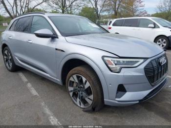  Salvage Audi e-tron