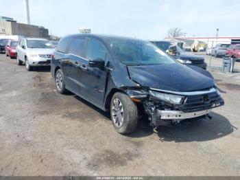  Salvage Honda Odyssey