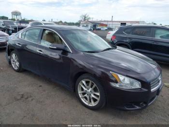  Salvage Nissan Maxima