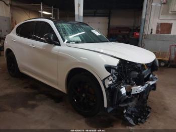  Salvage Alfa Romeo Stelvio