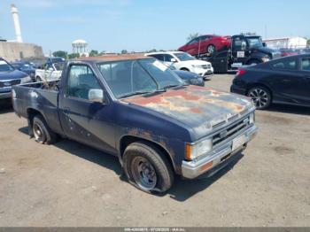  Salvage Nissan D21