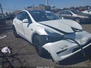 Salvage Tesla Model Y