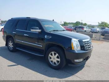  Salvage Cadillac Escalade