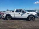 Ford F-150 Xl Image 14