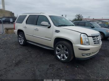  Salvage Cadillac Escalade