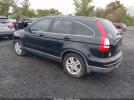 Honda CR-V Ex-l Image 3