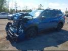 Subaru Forester Wilderness Image 7