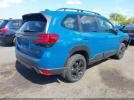 Subaru Forester Wilderness Image 9