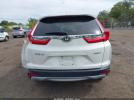 Honda CR-V Ex Image 3