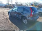 Honda CR-V Ex Image 3