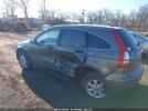 Honda CR-V Ex Image 2