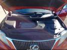 Lexus RX Image 8