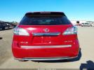 Lexus RX Image 13