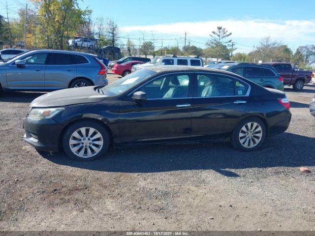 Honda Accord Ex-l Image 7