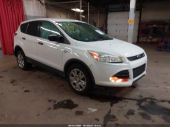  Salvage Ford Escape